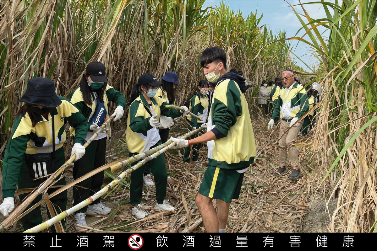 產學合作為台灣甘蔗尋找新方向